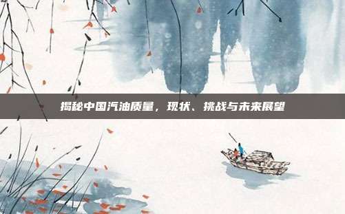 揭秘中国汽油质量,现状、挑战与未来展望