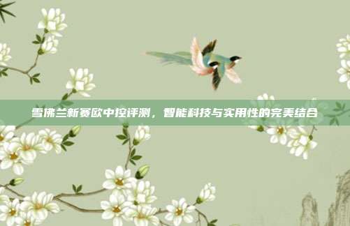 雪佛兰新赛欧中控评测,智能科技与实用性的完美结合