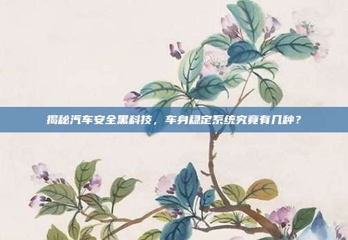揭秘汽车安全黑科技，车身稳定系统究竟有几种？