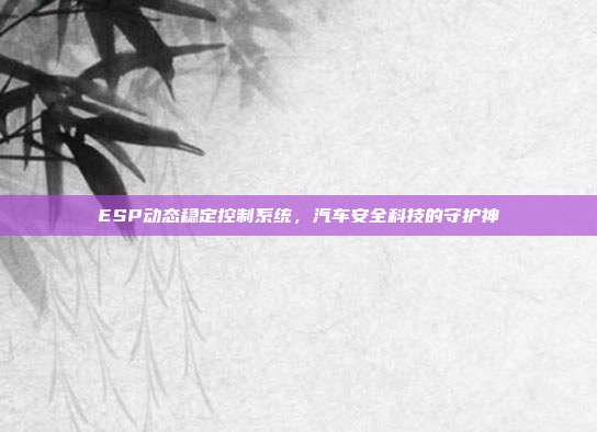 ESP动态稳定控制系统，汽车安全科技的守护神