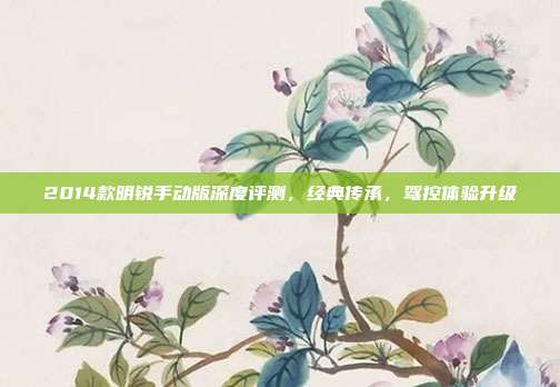 2014款明锐手动版深度评测，经典传承，驾控体验升级