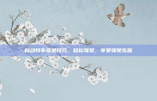 自动挡车驾驶技巧，轻松驾驭，享受驾驶乐趣