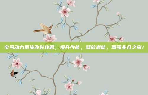 宝马动力系统改装攻略，提升性能，释放潜能，驾驭非凡之旅！