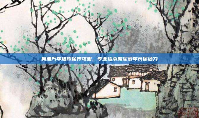 奥迪汽车维修保养攻略，专业指南助您爱车长保活力