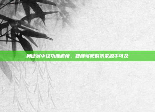 奥德赛中控功能解析，智能驾驶的未来触手可及
