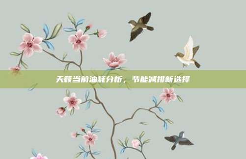 天籁当前油耗分析，节能减排新选择
