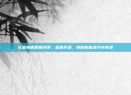 比亚迪唐质量评测，品质升级，领跑新能源汽车市场