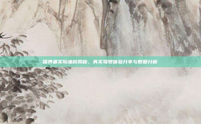 探界者实际油耗揭秘，真实驾驶体验分享与数据分析