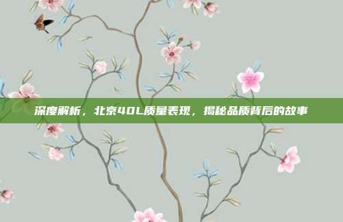 深度解析，北京40L质量表现，揭秘品质背后的故事