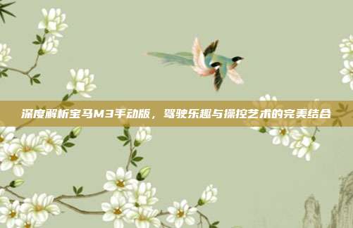 深度解析宝马M3手动版，驾驶乐趣与操控艺术的完美结合