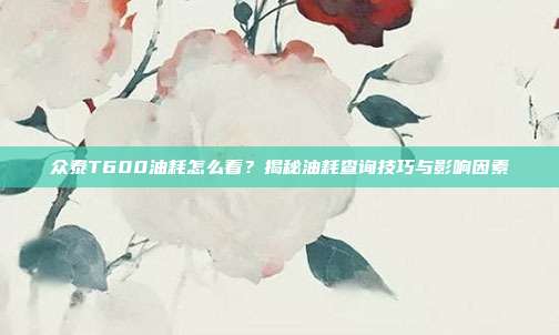 众泰T600油耗怎么看？揭秘油耗查询技巧与影响因素