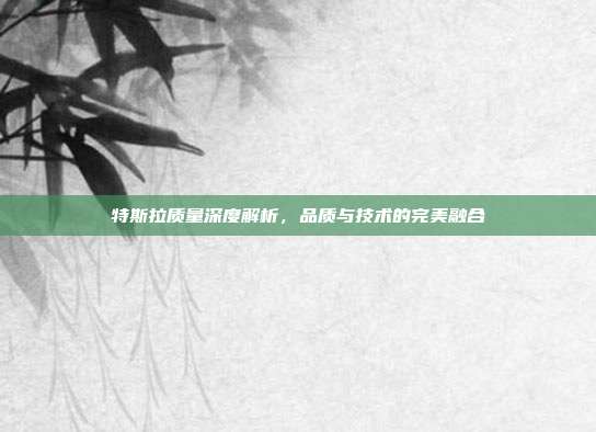特斯拉质量深度解析，品质与技术的完美融合