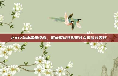 2017款唐质量评测,深度解析其耐用性与可靠性表现