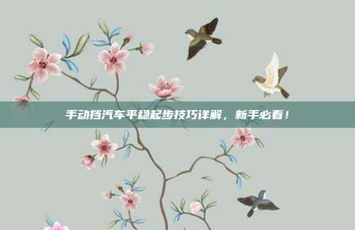 手动挡汽车平稳起步技巧详解，新手必看！