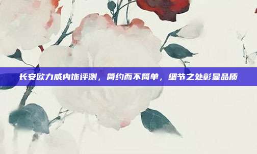 长安欧力威内饰评测，简约而不简单，细节之处彰显品质