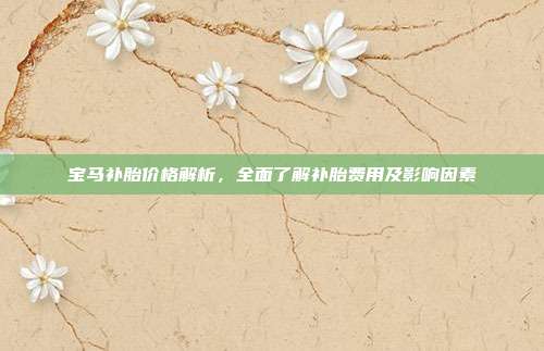 宝马补胎价格解析，全面了解补胎费用及影响因素
