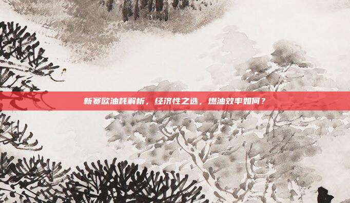 新赛欧油耗解析，经济性之选，燃油效率如何？