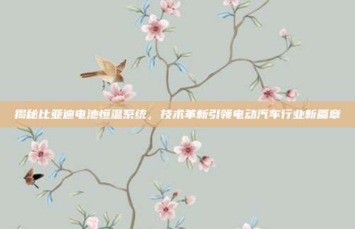 揭秘比亚迪电池恒温系统，技术革新引领电动汽车行业新篇章