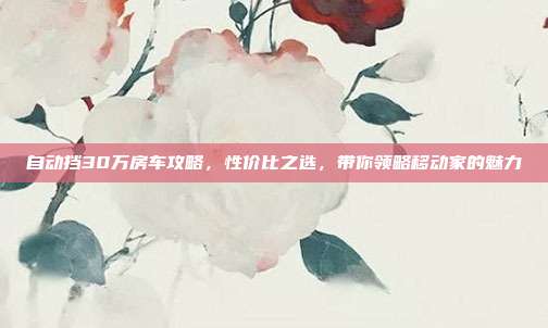 自动挡30万房车攻略，性价比之选，带你领略移动家的魅力