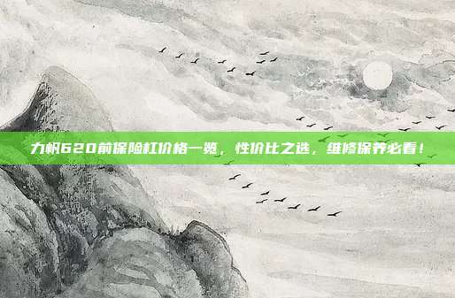 力帆620前保险杠价格一览，性价比之选，维修保养必看！