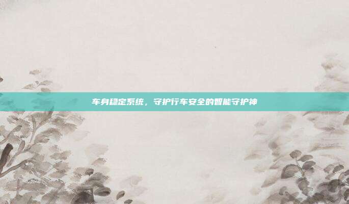 车身稳定系统，守护行车安全的智能守护神