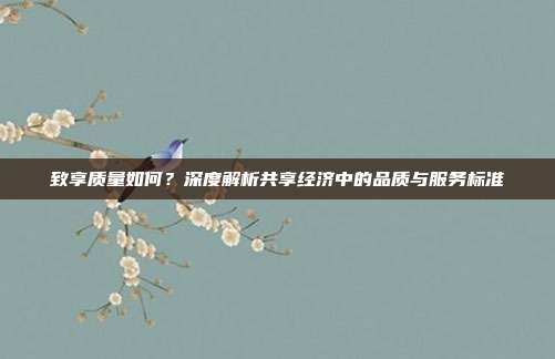 致享质量如何？深度解析共享经济中的品质与服务标准