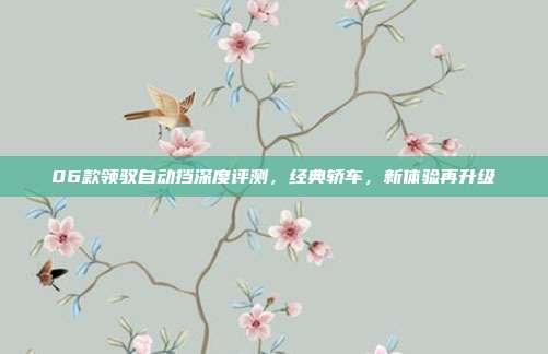 06款领驭自动挡深度评测，经典轿车，新体验再升级