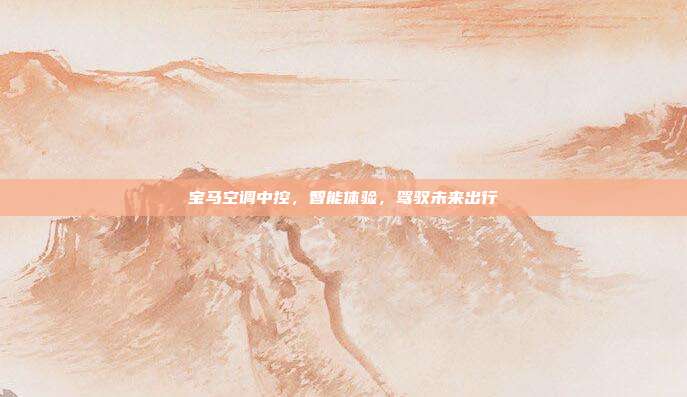 宝马空调中控，智能体验，驾驭未来出行