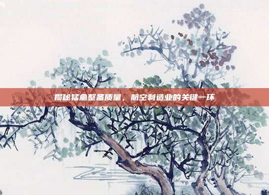 揭秘猛禽整备质量，航空制造业的关键一环