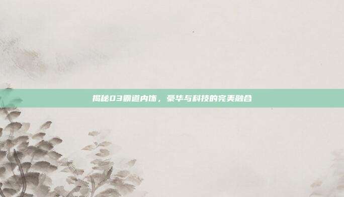 揭秘03霸道内饰，豪华与科技的完美融合