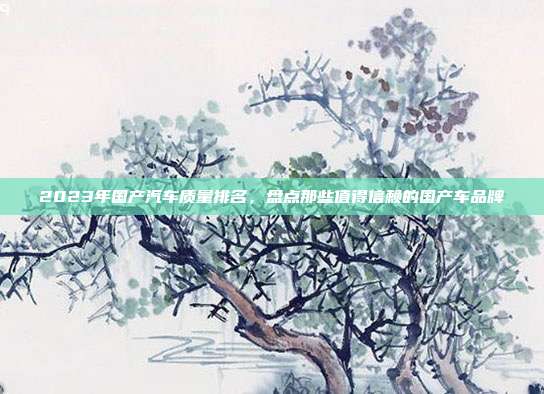 2023年国产汽车质量排名，盘点那些值得信赖的国产车品牌