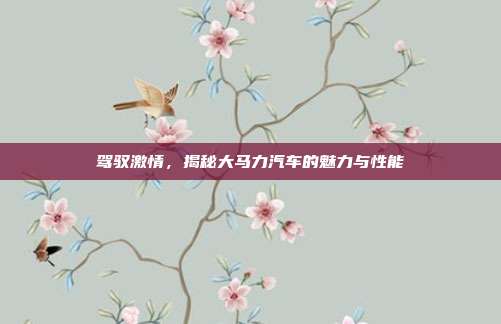 驾驭激情，揭秘大马力汽车的魅力与性能