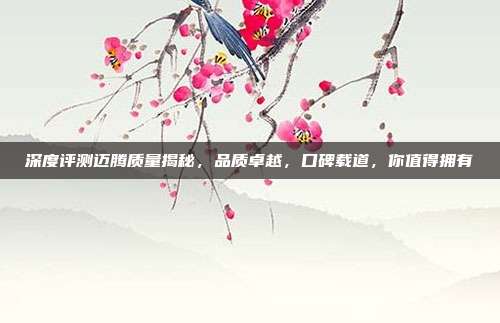 深度评测迈腾质量揭秘，品质卓越，口碑载道，你值得拥有