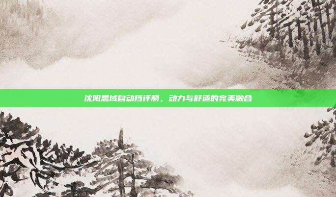 沈阳思域自动挡评测，动力与舒适的完美融合