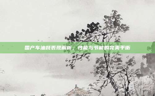 国产车油耗表现解析，性能与节能的完美平衡