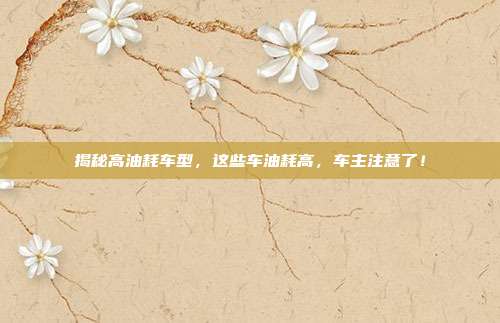揭秘高油耗车型，这些车油耗高，车主注意了！