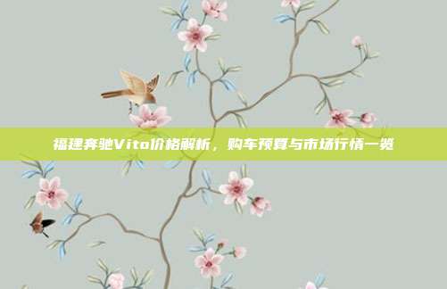 福建奔驰Vito价格解析，购车预算与市场行情一览