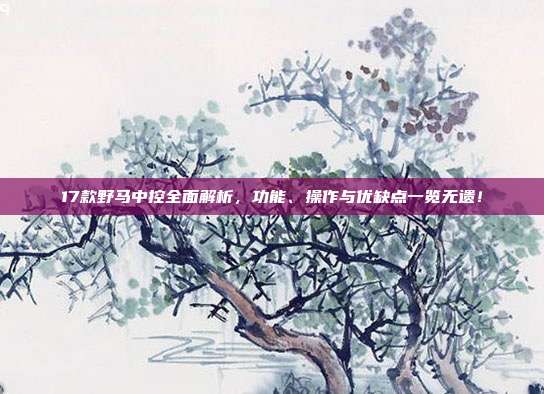 17款野马中控全面解析,功能、操作与优缺点一览无遗!