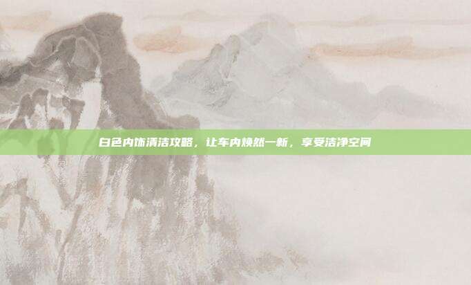 白色内饰清洁攻略，让车内焕然一新，享受洁净空间
