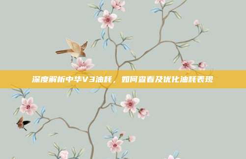 深度解析中华V3油耗，如何查看及优化油耗表现
