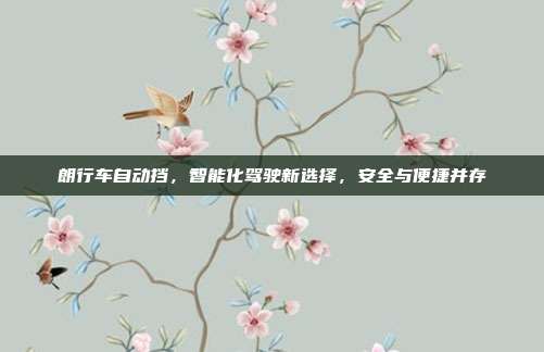 朗行车自动挡，智能化驾驶新选择，安全与便捷并存