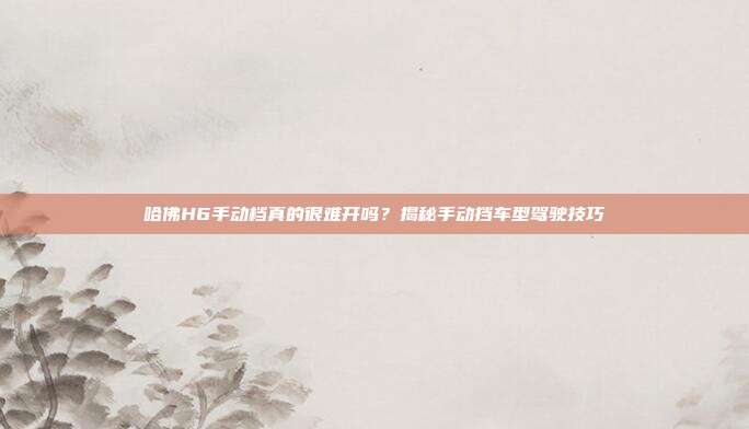 哈佛H6手动档真的很难开吗？揭秘手动挡车型驾驶技巧