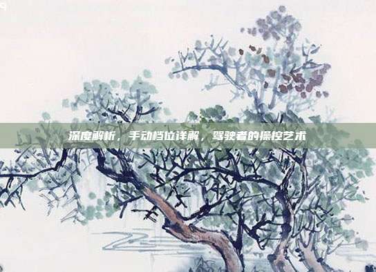 深度解析，手动档位详解，驾驶者的操控艺术
