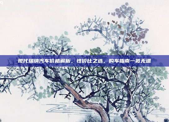现代瑞纳汽车价格解析，性价比之选，购车指南一览无遗