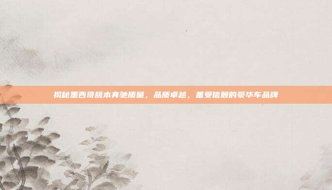 揭秘墨西哥版本奔驰质量，品质卓越，备受信赖的豪华车品牌