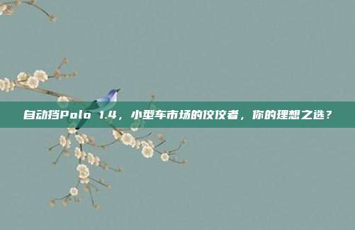自动挡Polo 1.4，小型车市场的佼佼者，你的理想之选？