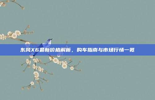 东风X6最新价格解析，购车指南与市场行情一览