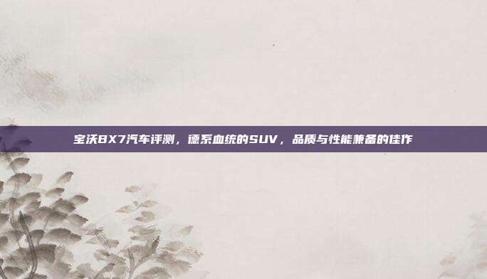 宝沃BX7汽车评测，德系血统的SUV，品质与性能兼备的佳作