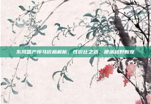 东风国产悍马价格解析，性价比之选，硬派越野新宠