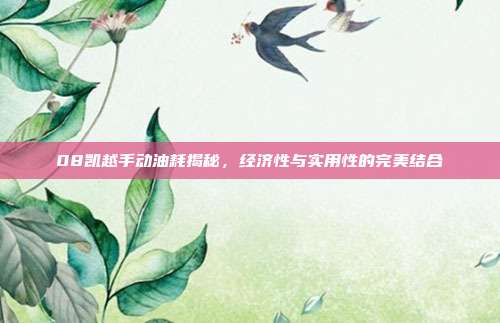 08凯越手动油耗揭秘，经济性与实用性的完美结合